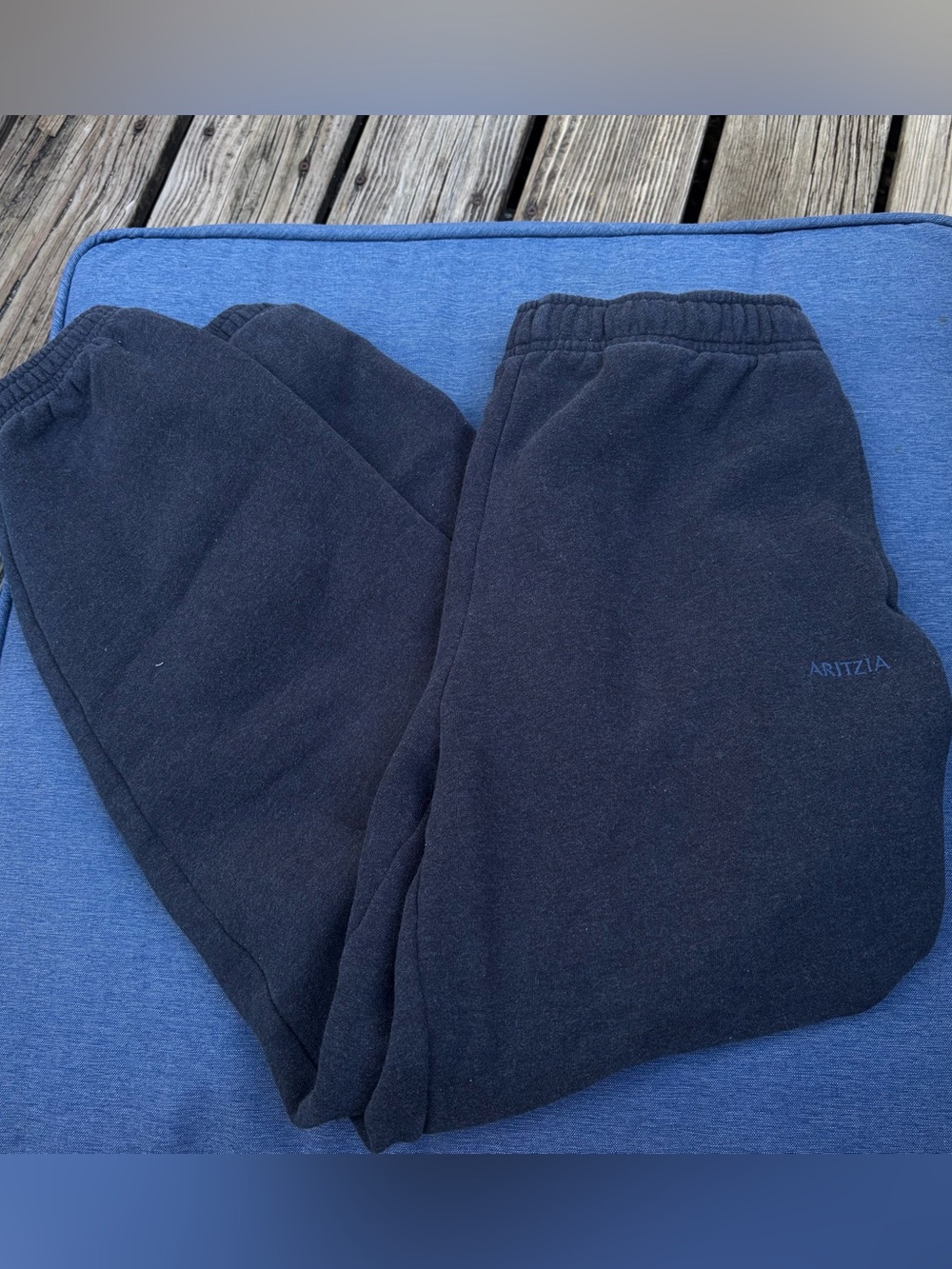 Aritzia joggers sweatpants